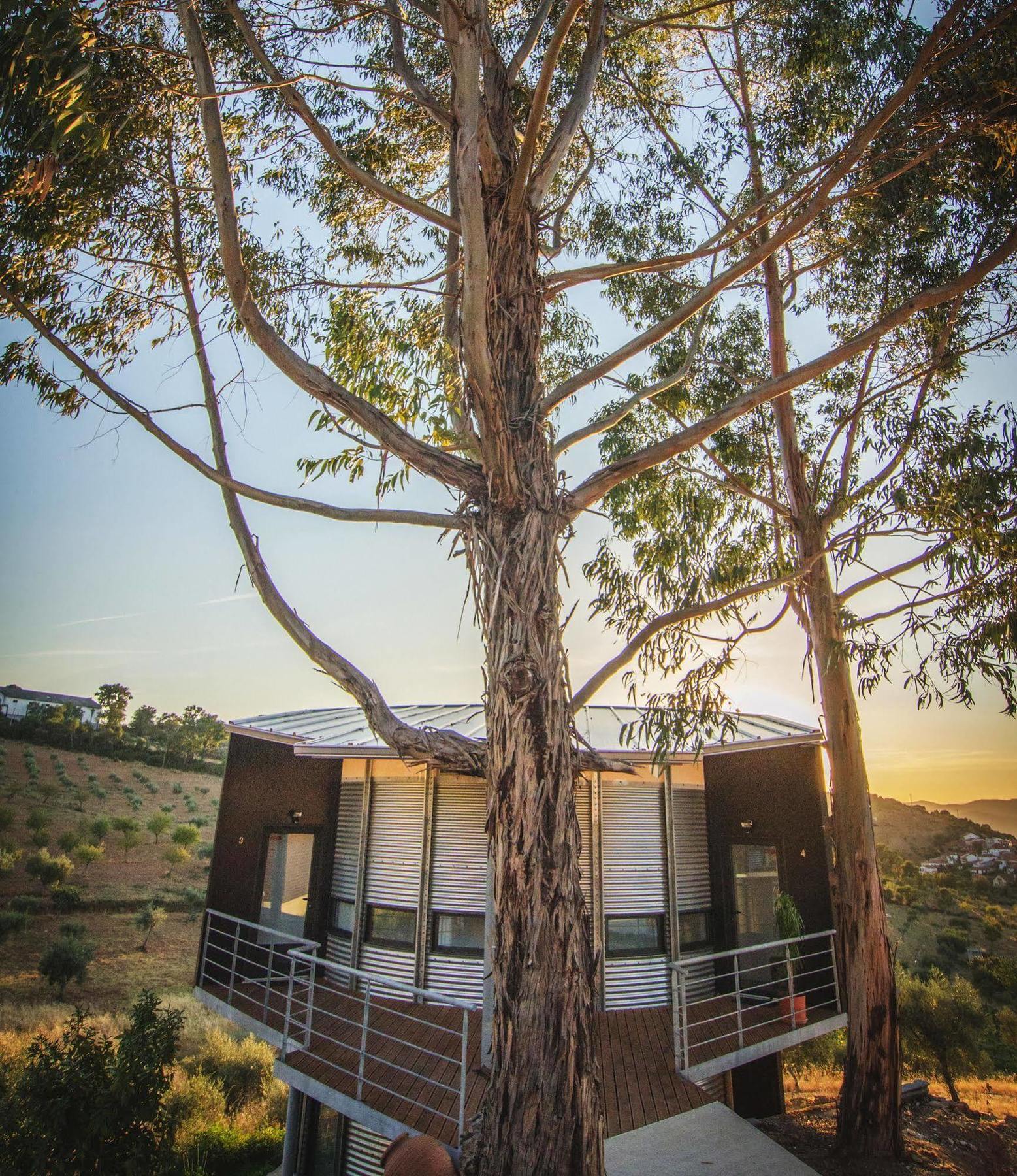 Villa Bela Vista Silo Housing à Alfândega da Fé Extérieur photo